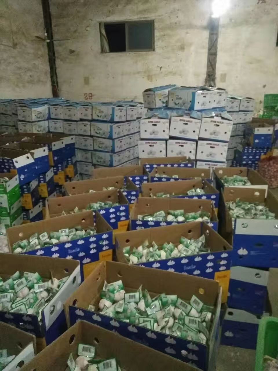 【推荐】精品金乡紫大蒜专业储存代收代发各地市场量大批发