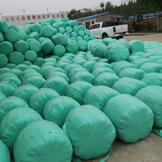 利辛县黄储玉米秸秆，量大质优，自产自用，发布价为每吨上车价格
