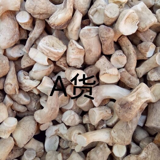 内乡县香菇脚干货长期供应香菇脚手挑货 干净无杂质98%净度厂家供应
