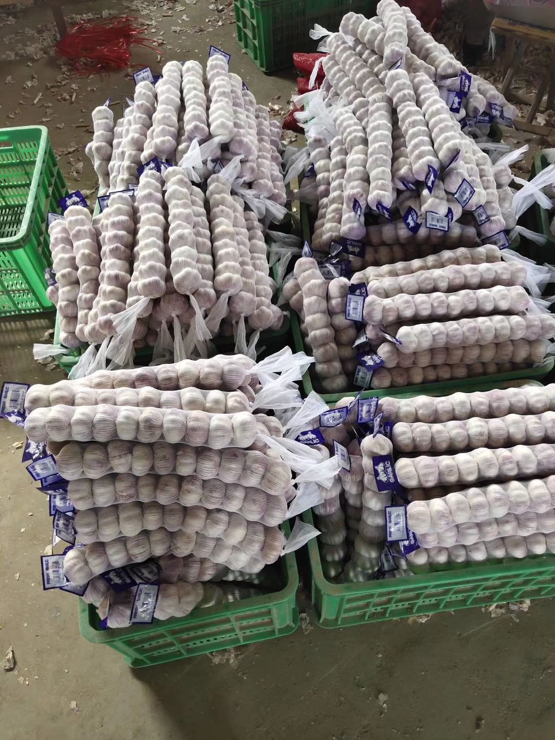 金乡大蒜，专业储存，代购，代销，供应电商，代发各地市场