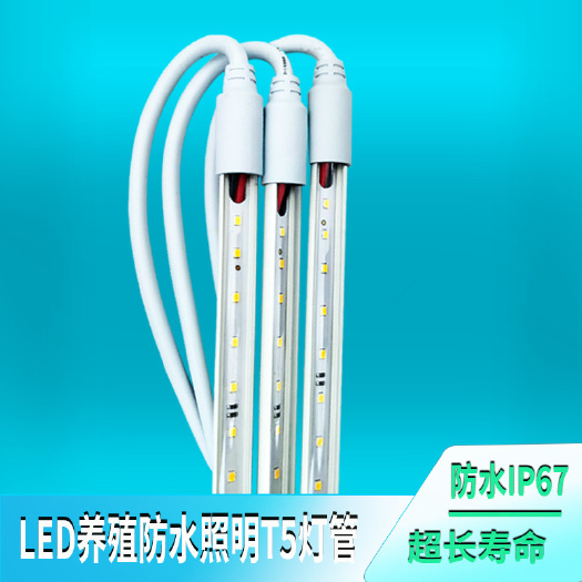 安丘市太阳能灯  养殖48伏可调光照明灯管防水防腐安全省电耐用暖光灯鸡鸭舍大棚