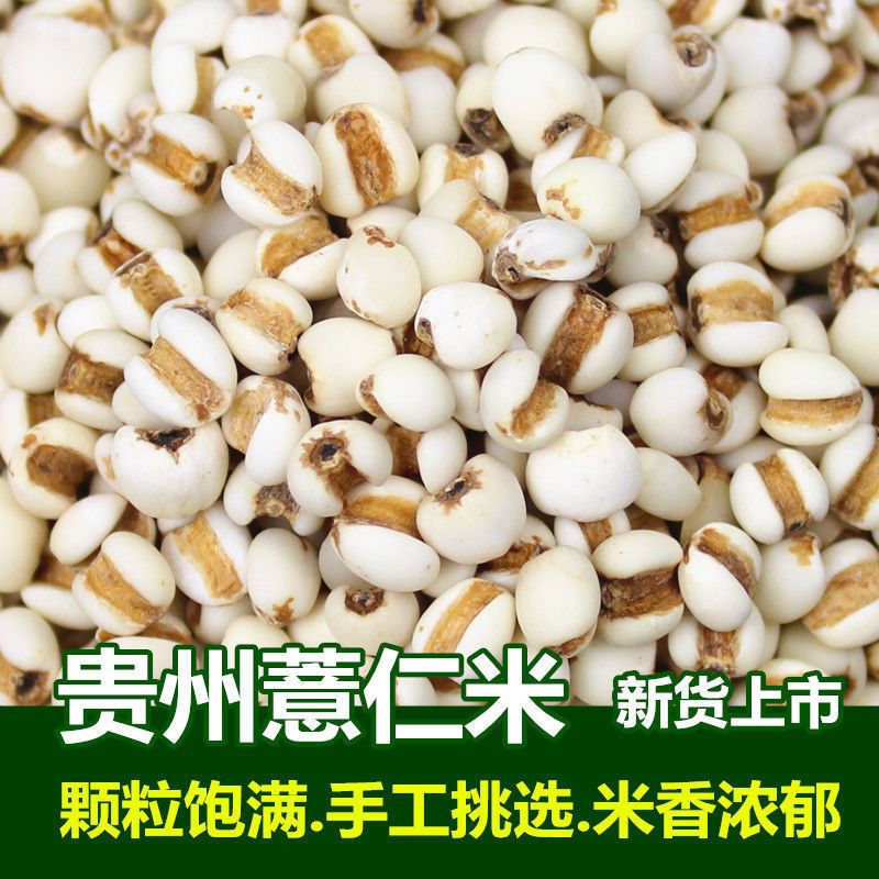 亳州新鲜贵州小薏米生薏仁薏米无硫米五谷杂粮批发