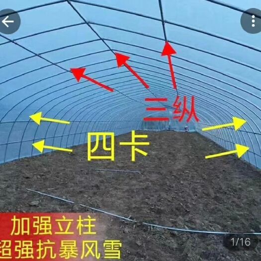 沭阳县种植大棚 蔬菜大棚