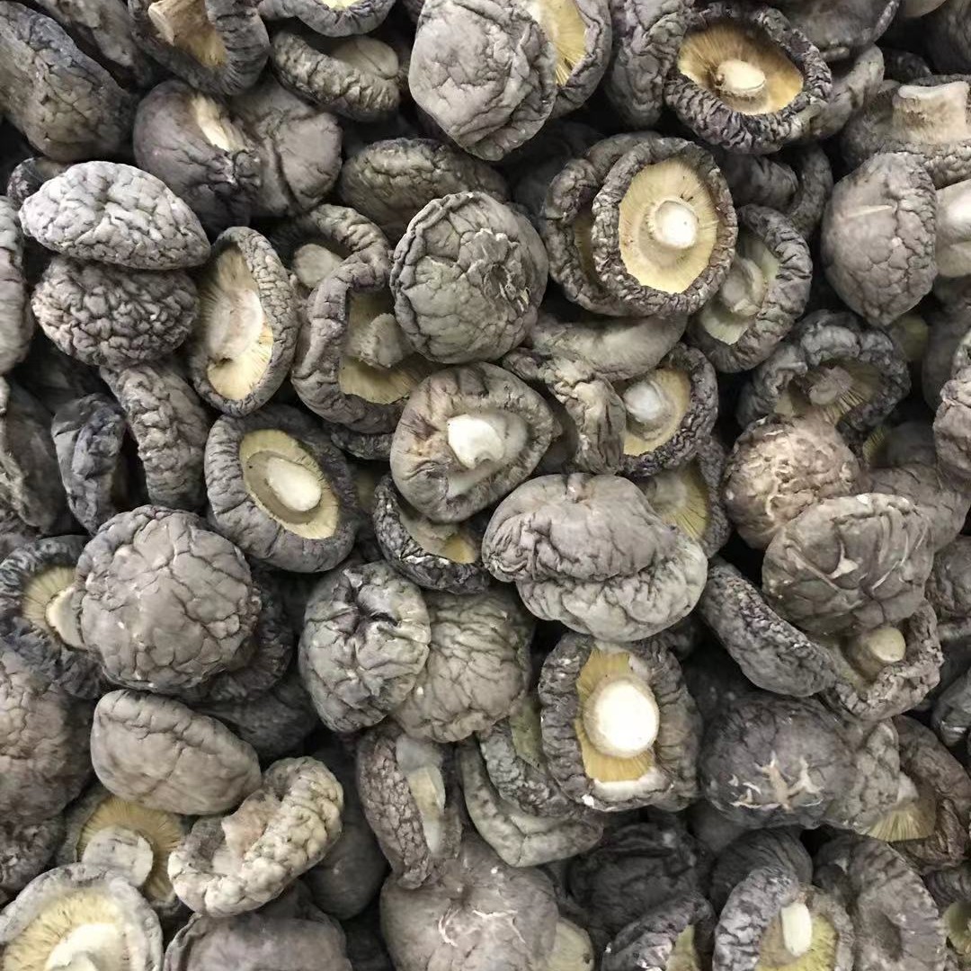 春栽香菇干货板菇光面菇肉厚干净平脚春栽冬菇源头产地工厂直销