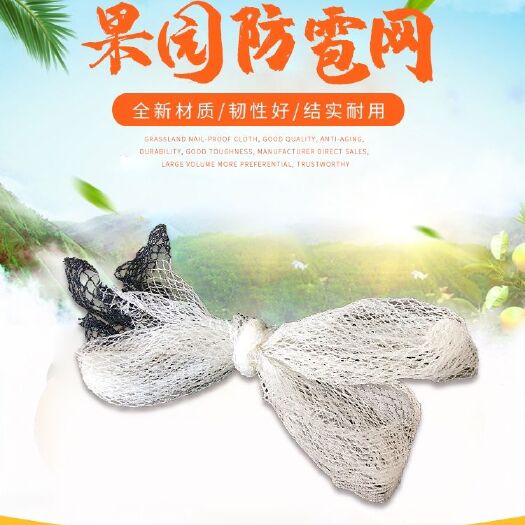 无棣县防冰雹网防鸟网苹果葡萄防雹网聚乙烯果园农田园艺无结防冰雹用品