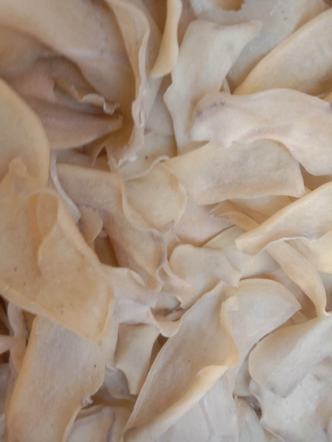 干土豆 土豆片干货，白皮白心，自家工厂批发，自产自销，需要的老板订购
