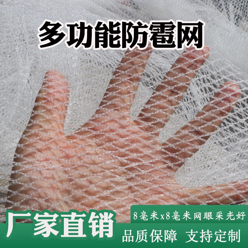防冰雹网防鸟网苹果葡萄防雹网聚乙烯果园农田园艺无结防冰雹用品