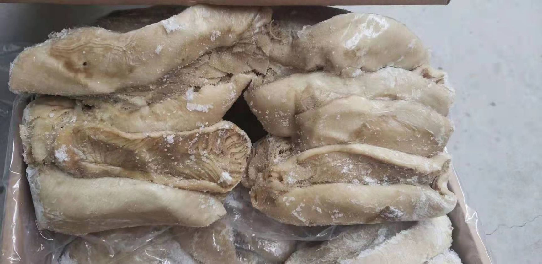 百叶 冰鲜毛肚 金钱肚纯干无冰盐百叶