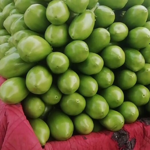 内黄县 青茄，豆角。