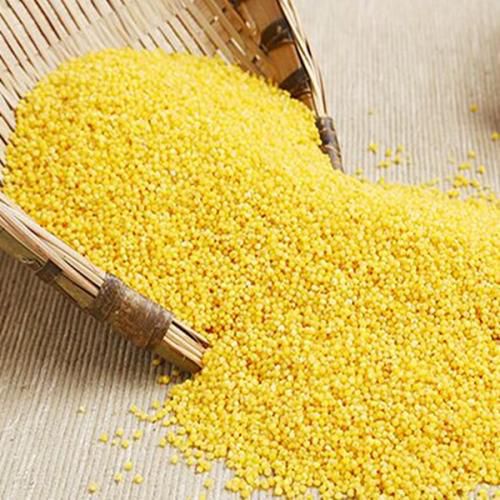 小米粥杂粮小黄米粮食天然。脱壳黄小米新米宝宝养胃优惠
