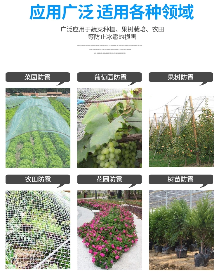 防冰雹网防鸟网苹果葡萄防雹网聚乙烯果园农田园艺无结防冰雹用品