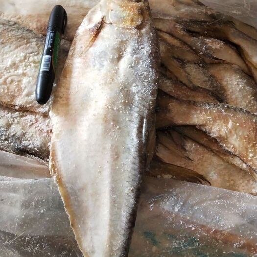 日照老卤腌制醇香白鳞鱼，肉质鲜美！物美价廉，老幼皆宜！