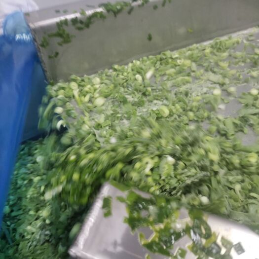 速凍蔬果  冷凍青蔥