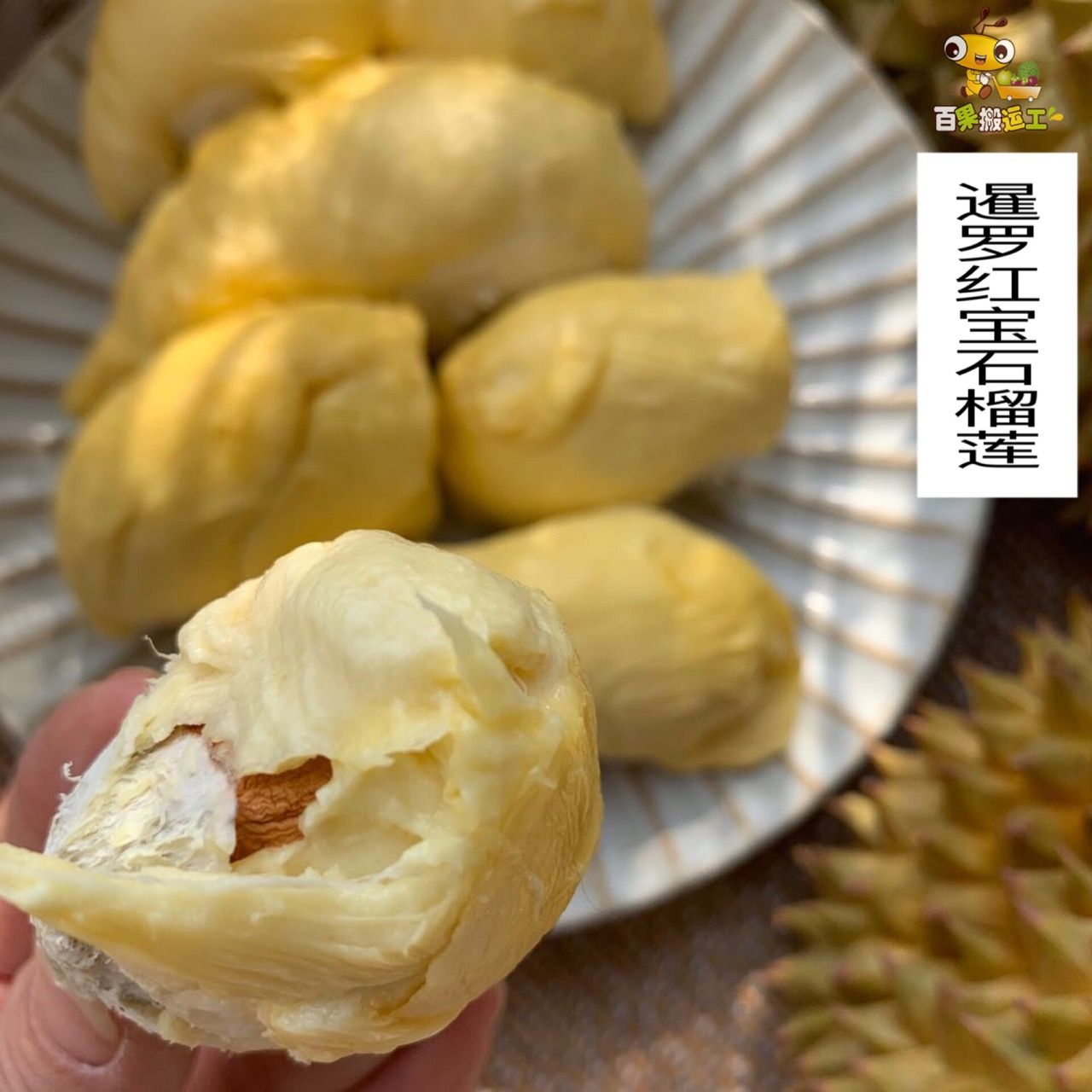  泰国品种榴莲，红宝石，顺丰包邮到家！