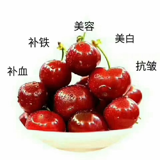 绛县美早樱桃 樱桃