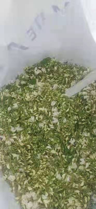 壶关县 出售洋槐花