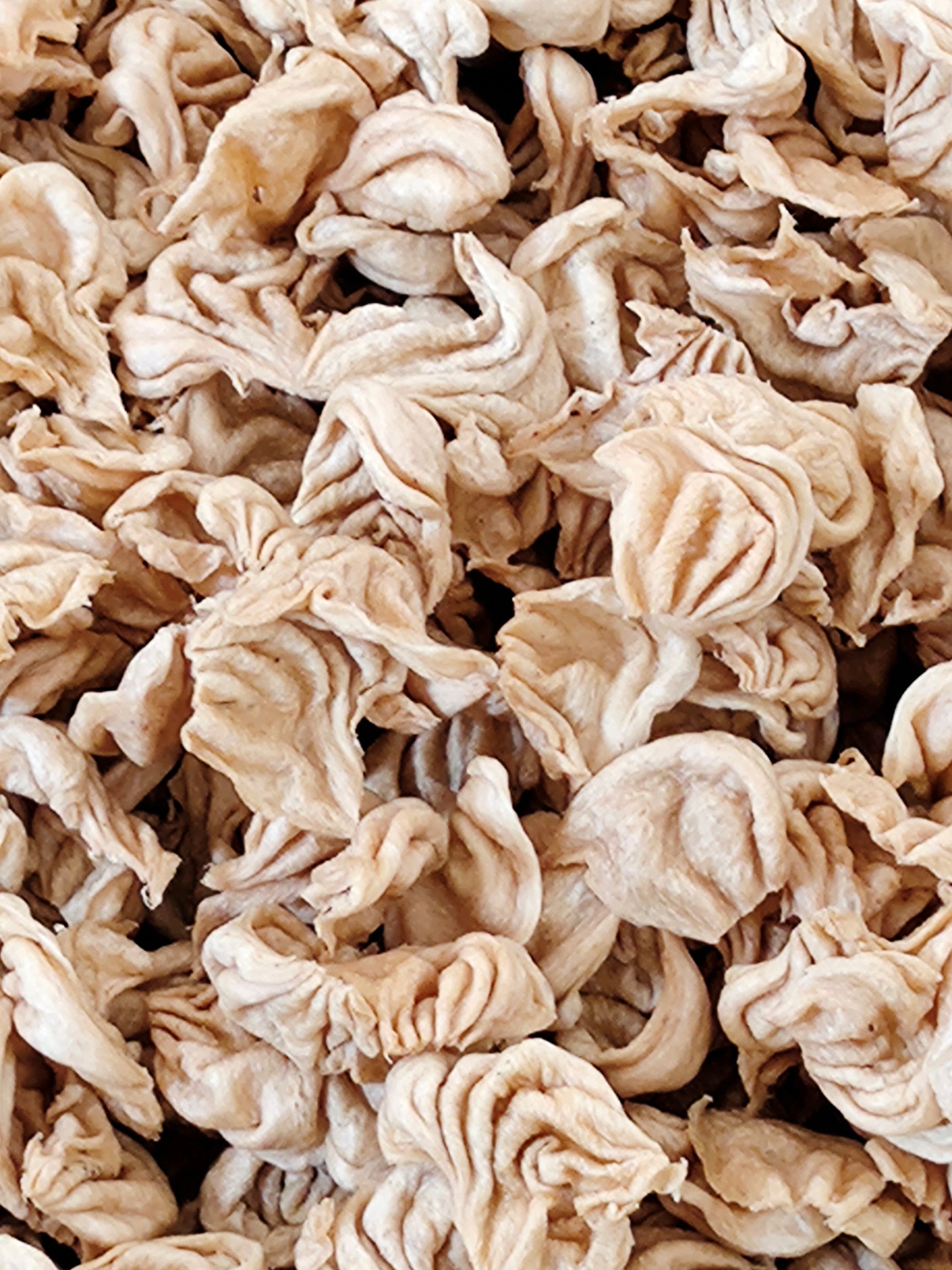 蛋白肉  豆制品大豆耳猫豆耳 健康美食赶大集热卖品