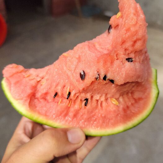 潍坊早春红玉西瓜，西瓜种植基地，专业合作社，质量保证