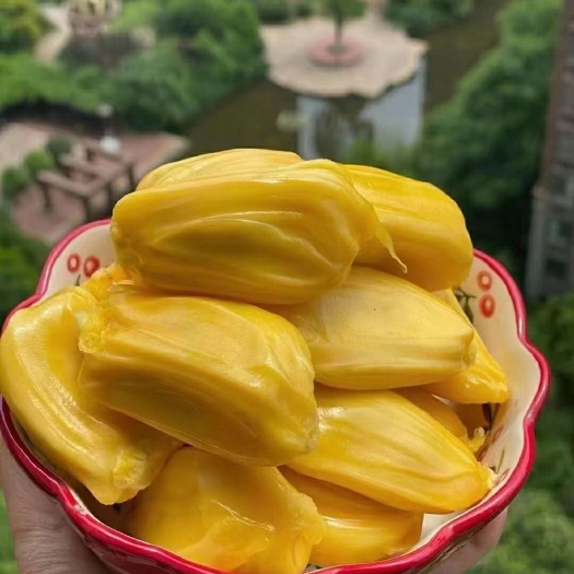 保亭县海南黄肉菠萝蜜 20斤以上一个装包邮