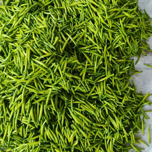 新泰市 黄花菜