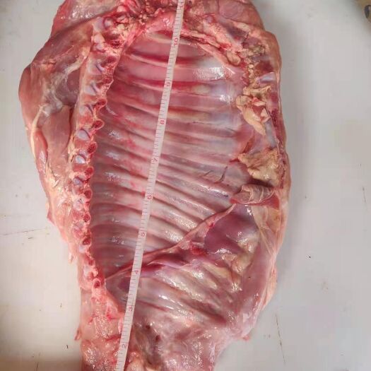 厂家直销精品乳牛排，一手货源欢迎选购。。