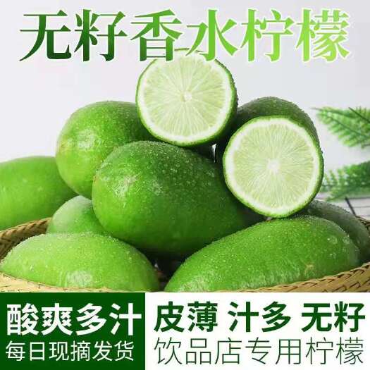 海口海南无籽香水青柠檬四季青柠新鲜水果奶茶店专用批发整