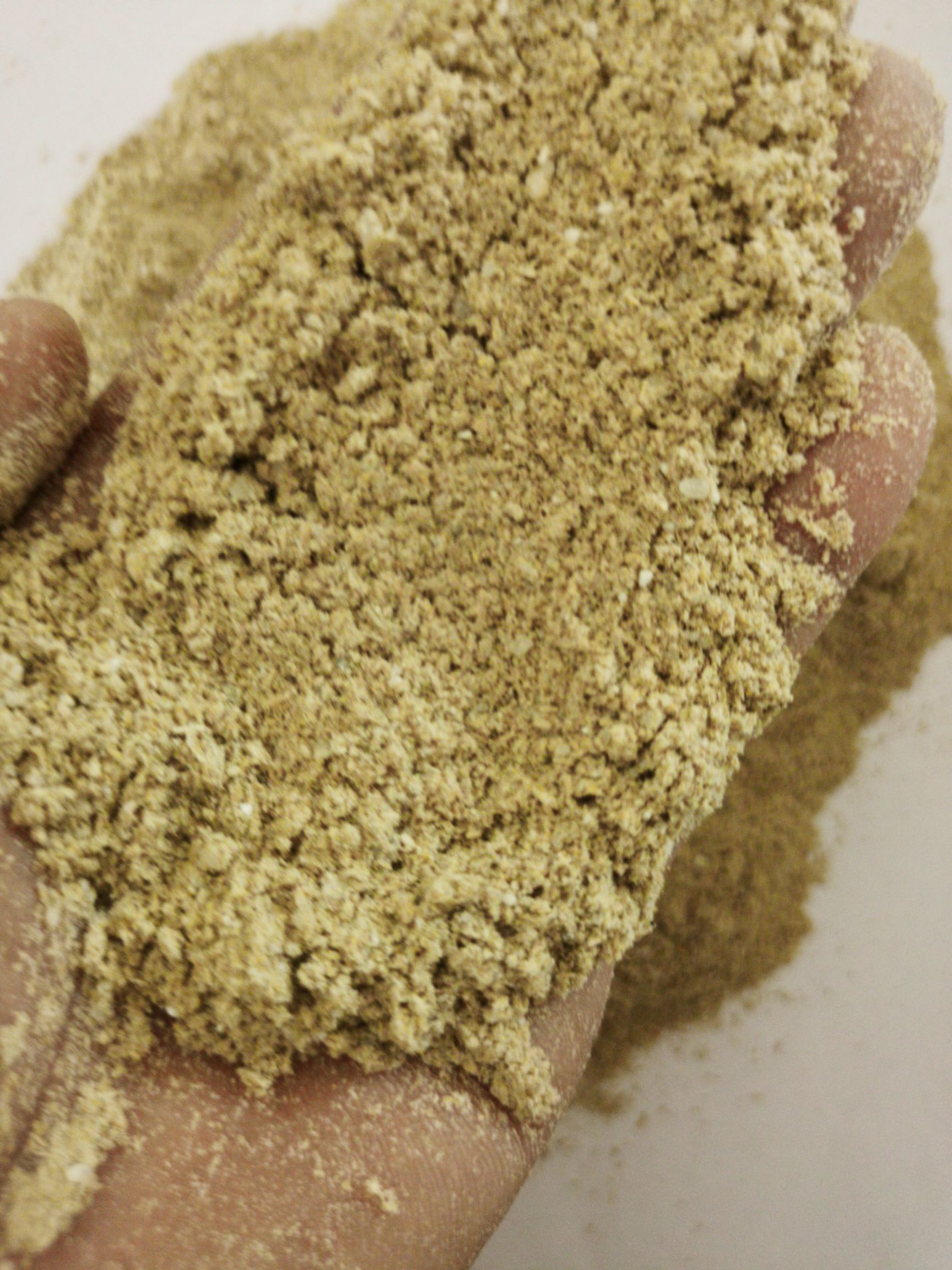 米糠  新厂生产大米油糠三七糠统糠