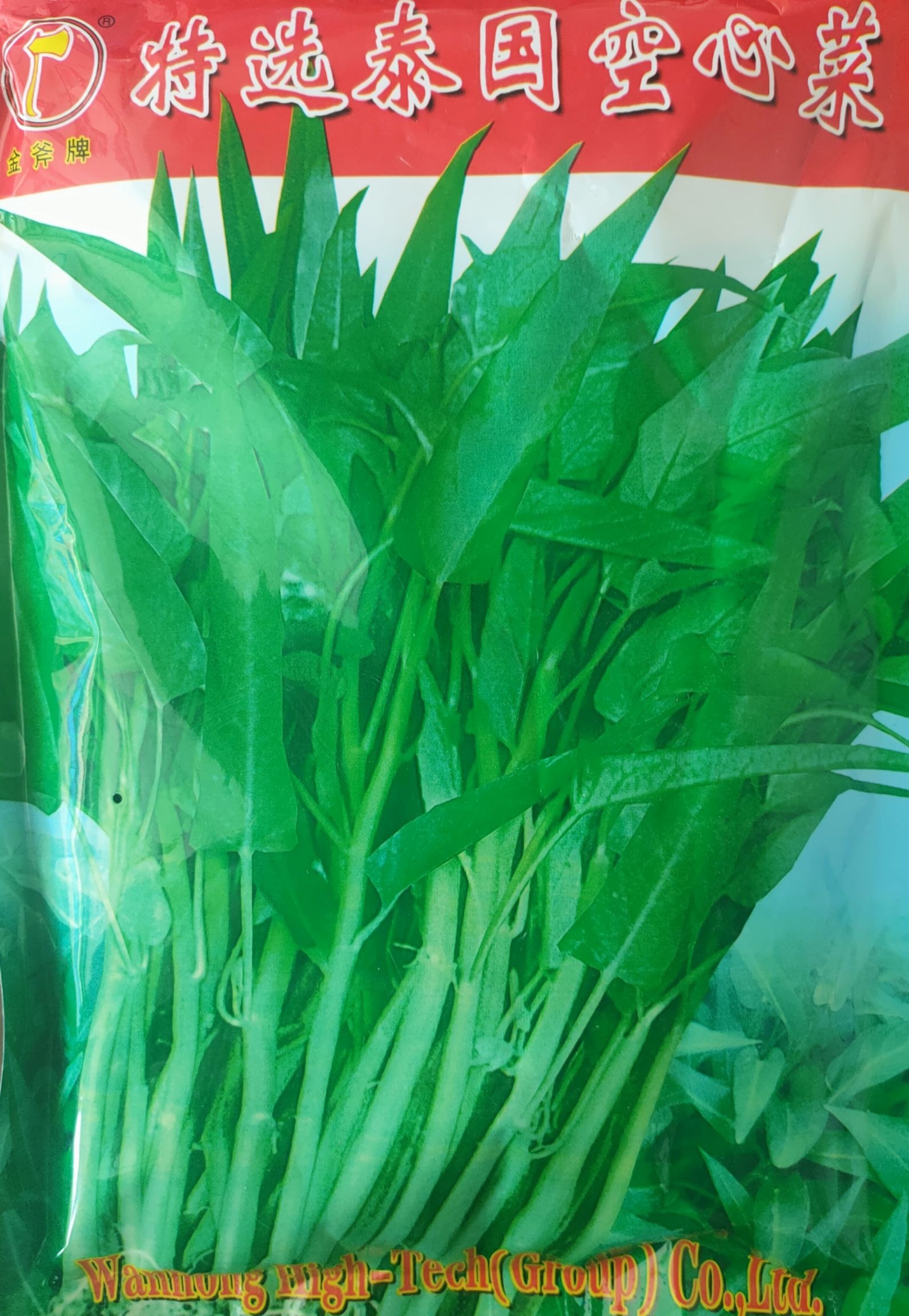 泰国空心菜种子通心菜种子青梗小叶小叶青杆雍菜种子