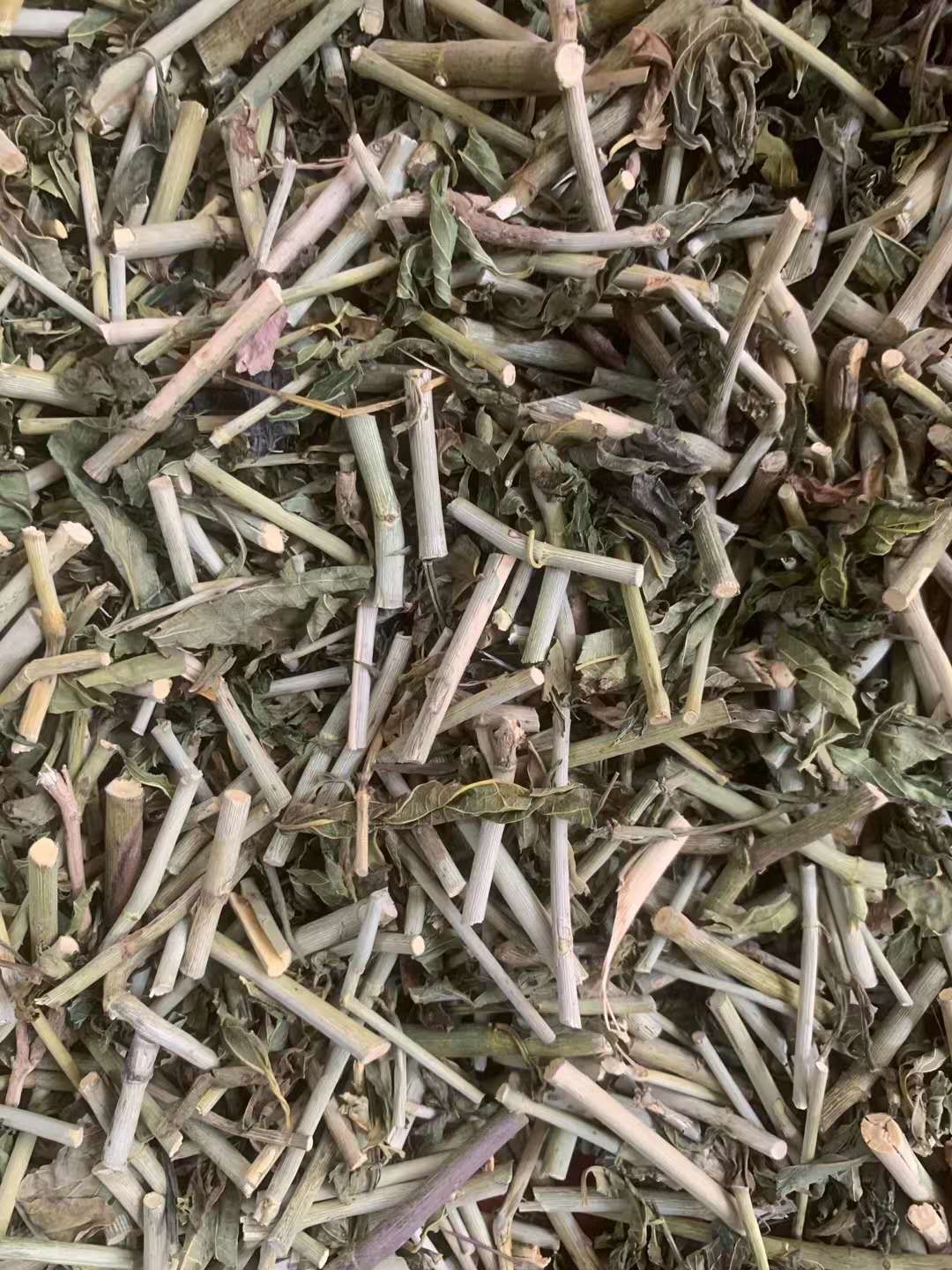 长期供应｛忧遁草｝可批量可零售量大从优【包邮】
