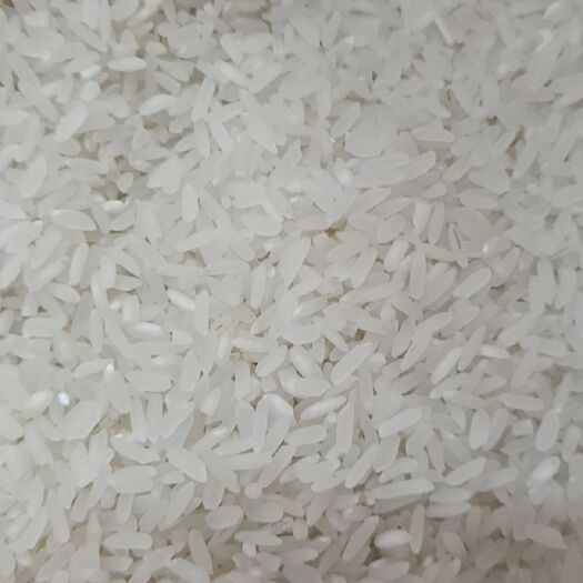 广州黄花粘 广东省韶关市始兴县 一等品 晚稻 籼米 