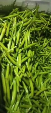 淄博 黄花菜