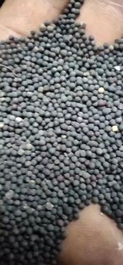 枝江市湖北枝江优质油菜籽