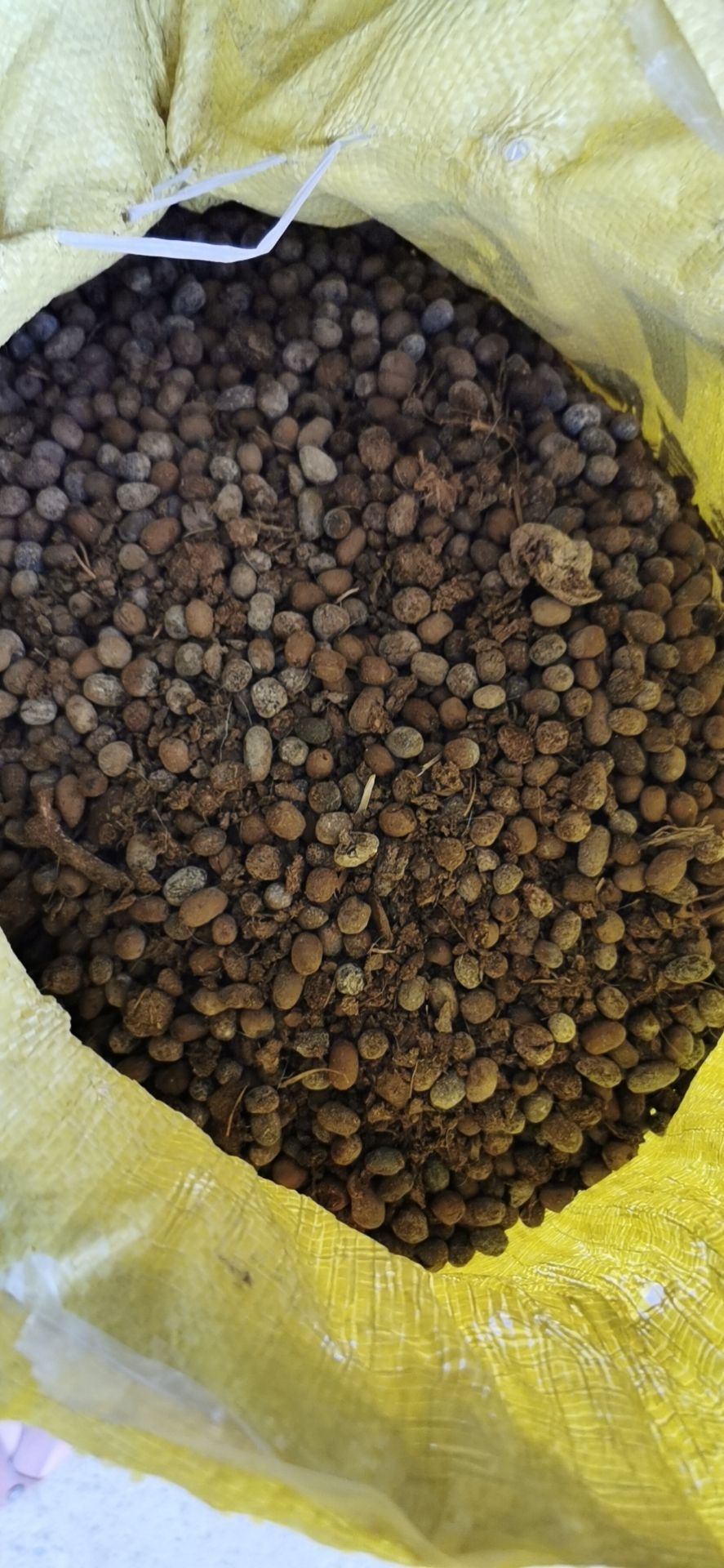  羊粪农家肥，让你看到的真，