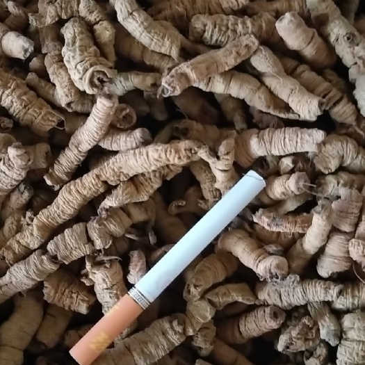 德庆县中巴戟肉