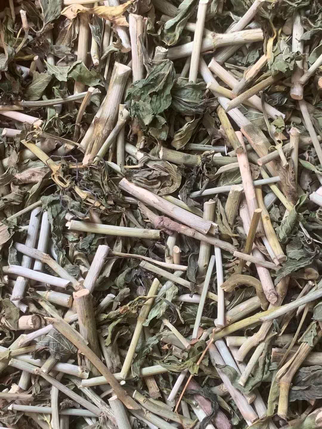 长期供应｛忧遁草｝可批量可零售量大从优【包邮】