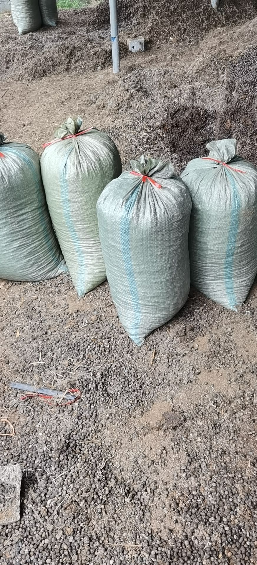 羊粪农家肥，让你看到的真，