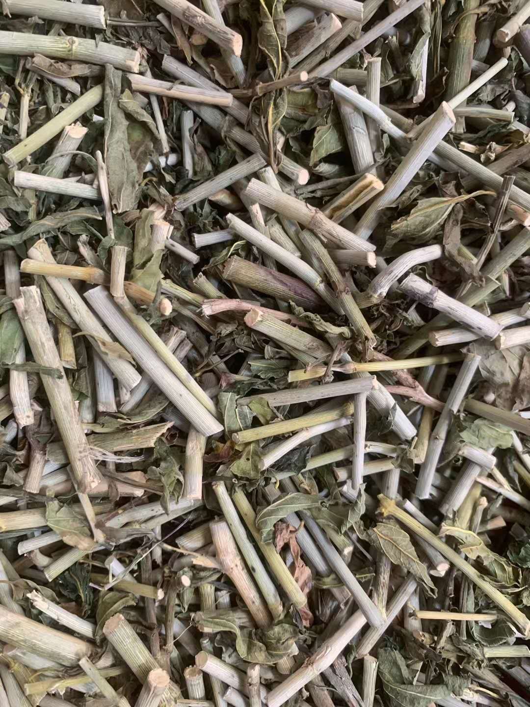 玉林长期供应｛忧遁草｝可批量可零售量大从优【包邮】