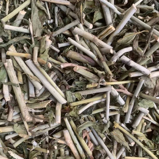 长期供应｛忧遁草｝可批量可零售量大从优【包邮】
