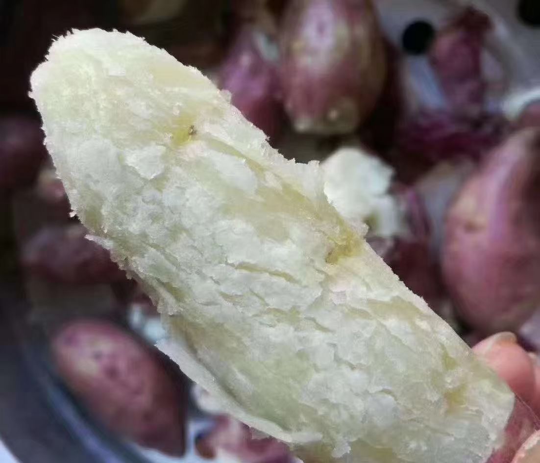 海南特产澄迈山口香薯地瓜三角宁新鲜现挖农家自种香甜粉糯