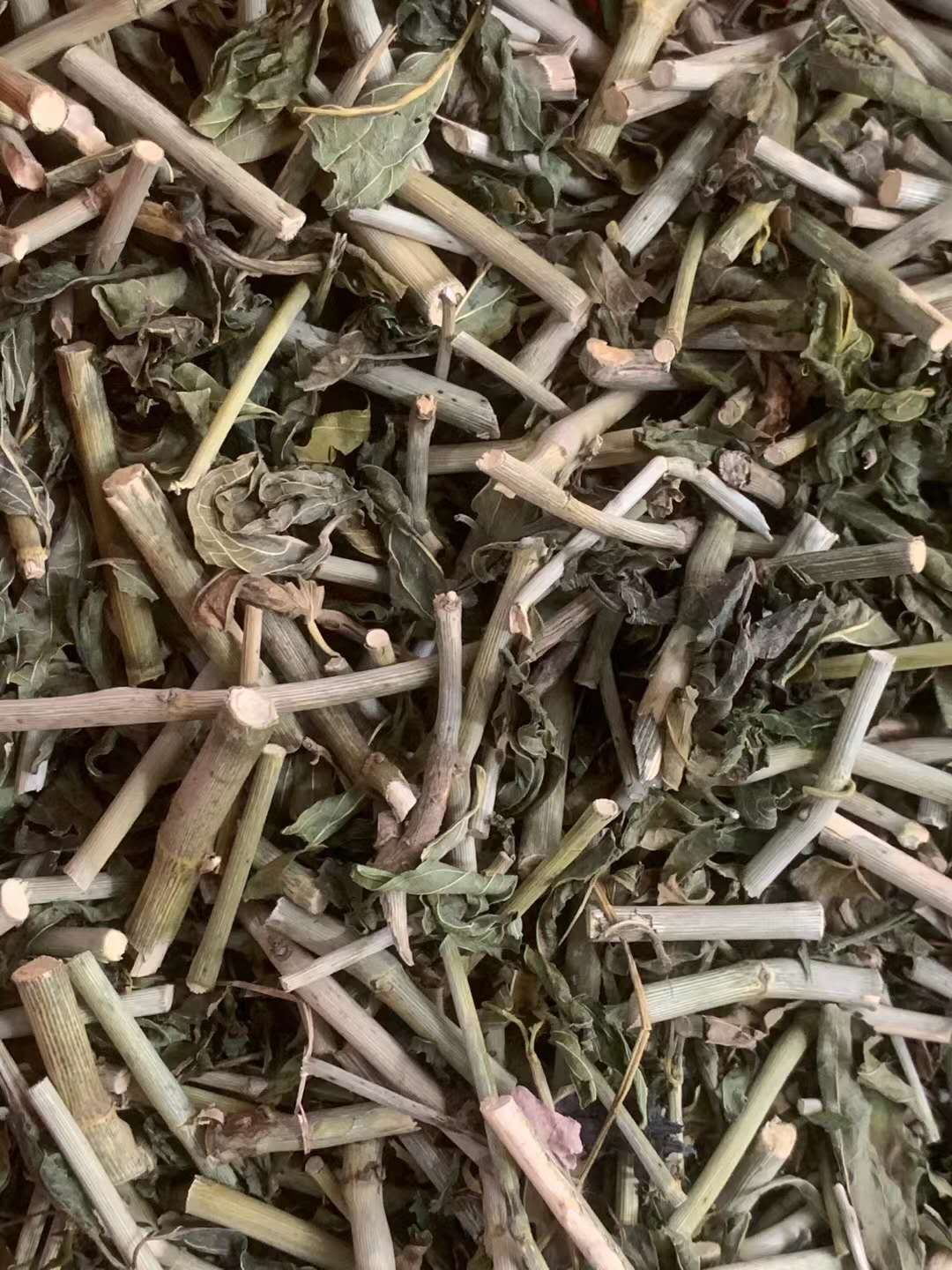 长期供应｛忧遁草｝可批量可零售量大从优【包邮】