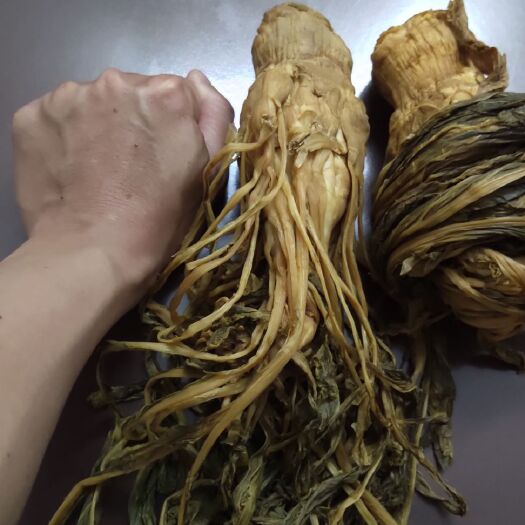 柳州腌大头菜  柳州里雍头菜