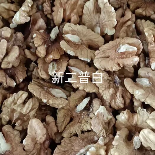 汾阳市新二普白核桃仁
