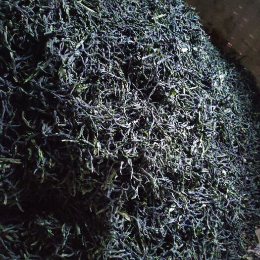 金寨县 六安瓜片口粮茶