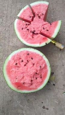 西瓜大量上市，京欣西瓜，甜王西瓜。大量供货，产地直发，保质保