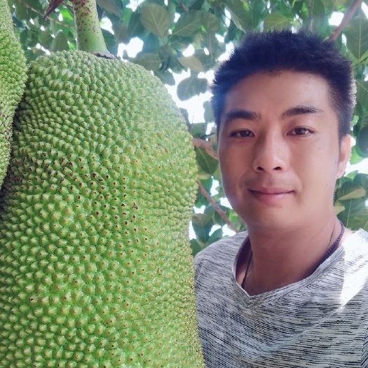 保亭县海南三亚青皮菠萝蜜