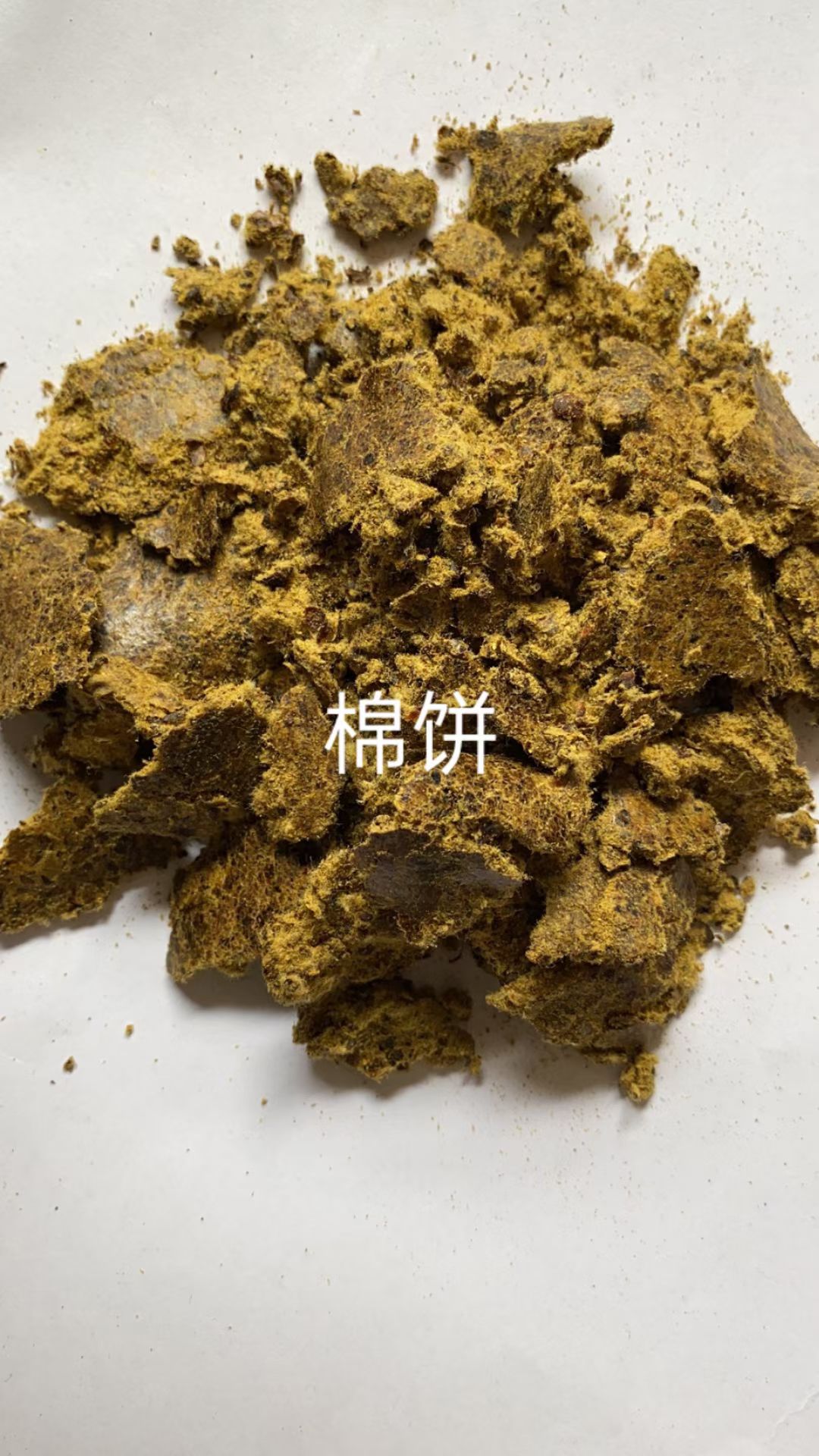 玉米酒糟DDGS