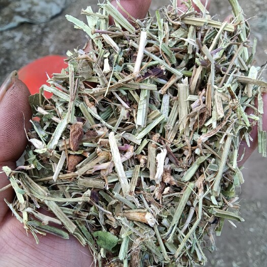 唐山花生秧草段