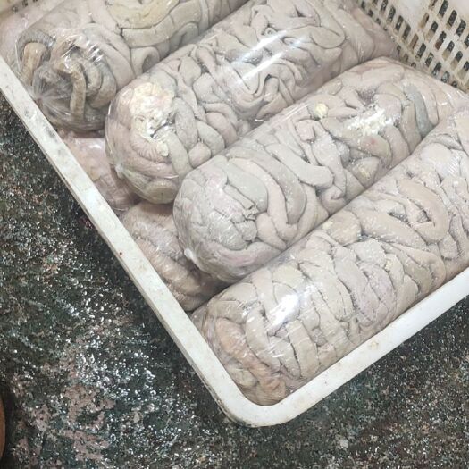 厦门牛杂，油牛肠 牛小肠，自家杀牛，现加工，长期有货。