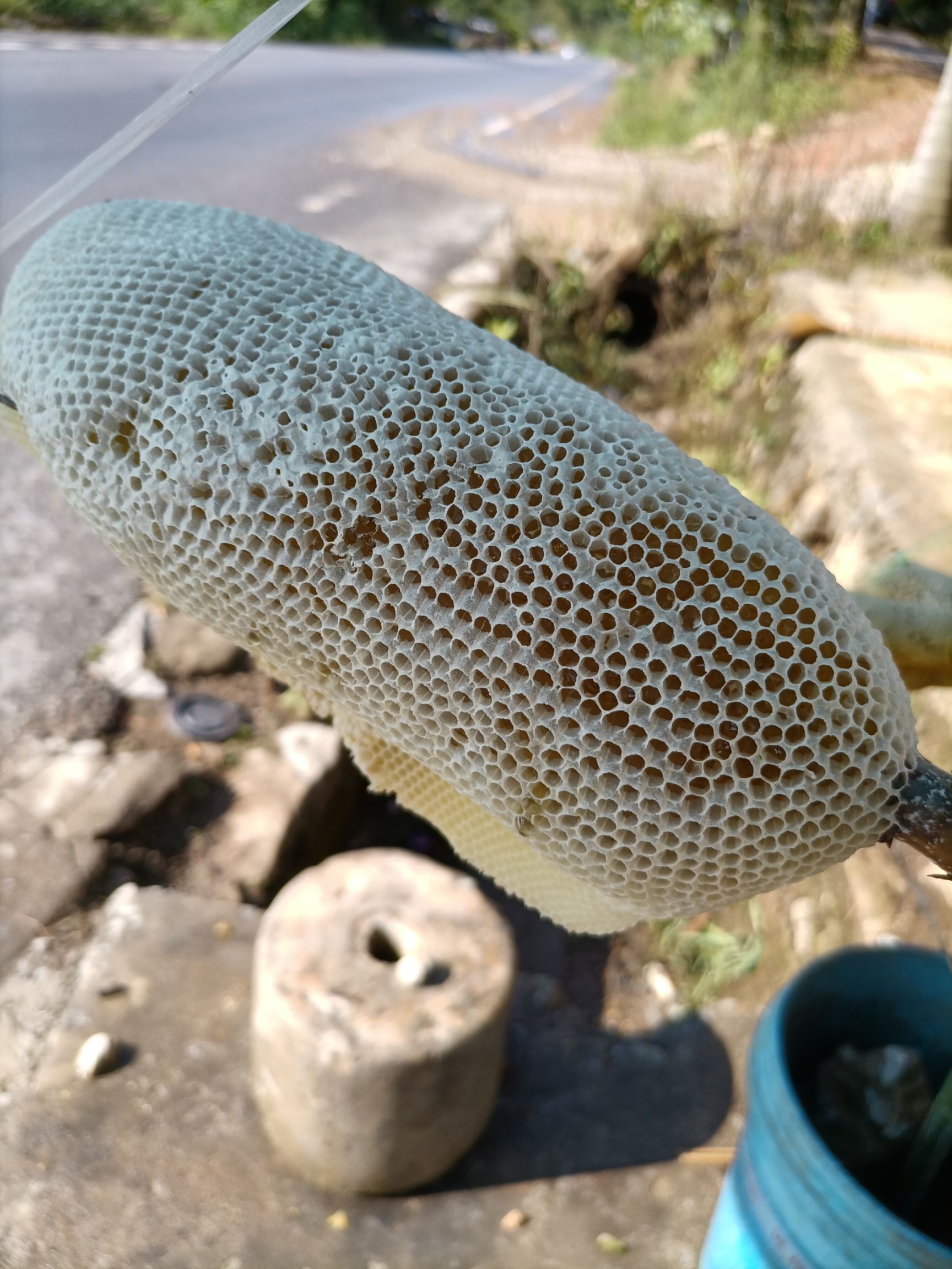 百花蜜  小挂蜜