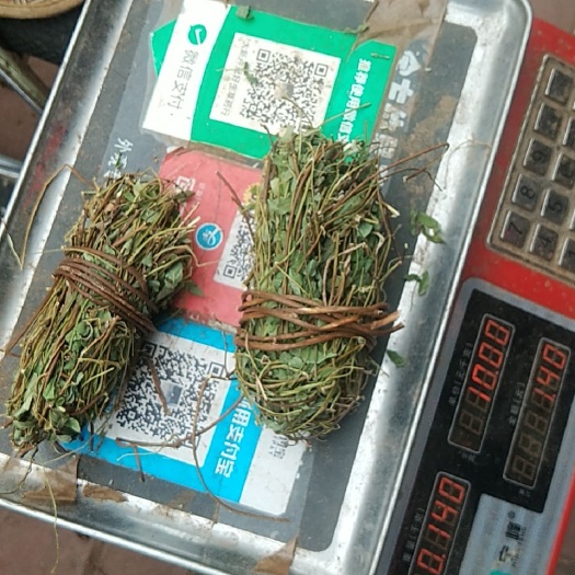 罗定市鸡骨草，批发鸡骨草高质量